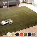 ソフトで柔らかな肌触りオールシーズン使えるシェニールラグ200×250cm※代引き不可母の日 母の日ギフト