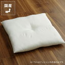 ヌードクッション45×45cm※代引き不可父の日 父の日ギフト クッション 座布団 正方形 四角 国産 日本製 手洗いOK 洗濯可 ウォッシャブル