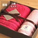 kontex(コンテックス)プラスカラータオル2枚セット(フェイスタオル×1・ゲストタオル×1)タオル