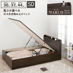 https://thumbnail.image.rakuten.co.jp/@0_mall/kaguranger/cabinet/new-gas/tate/sn-t/13-march-t-sd.jpg