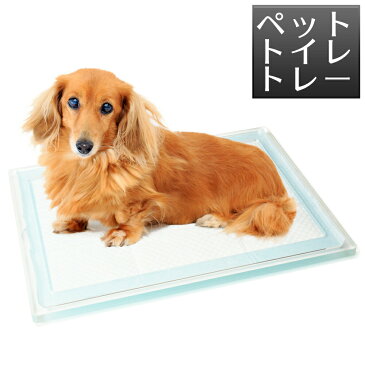 『ペットトイレ』 トレー 犬 アクリル sサイズ犬用トイレ クリア 犬トイレ 犬のトイレ 犬用トイレトレー 丸洗い 洗える 収納 介護 老犬 バリアフリー 犬のトイレ用品 オシャレ 小型犬 レギュラー 透明 ペット用品 ペットトイレ チワワ ダックス トイレトレイ
