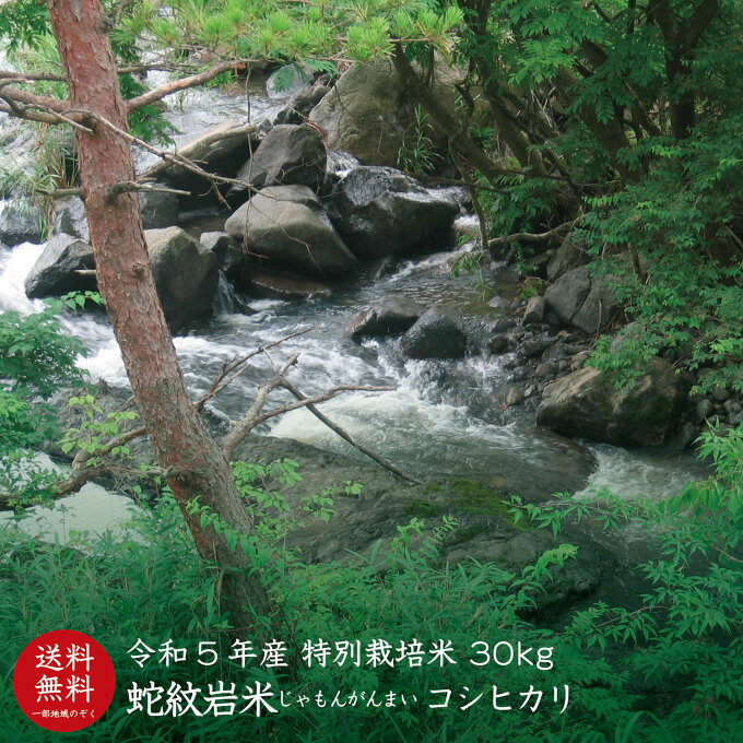 【令和5年産】【送料無料】兵庫県たじま養父産 蛇紋岩米（じゃもんがんまい）【30kg...