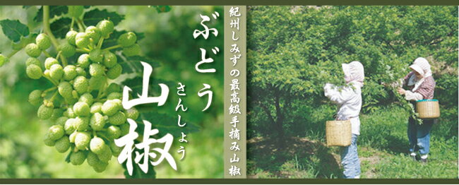 【本物の香りをお届けします】紀州しみずぶどう山椒10g【ネコポス送料別】原産国：日本(和歌山) 2