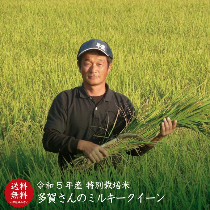 【令和5年産】【送料無料】滋賀県産多賀さんのミルキークイーン【5kg／10kg】【特...