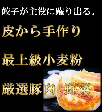 【20％OFF】ジャンボ餃子 楽天1位 1個で一般餃子の3-5倍の大きさ！50個に匹敵!15個入り 辿り着いたのは皮から全て手作り、もちっパリッ栄養バランス絶妙な美味、身体に優しい餃子です。 餃子 ぎょうざギョーザ 冷凍食品 御中元 ギフト お取り寄せ 東京老舗 五十番 神楽坂本店