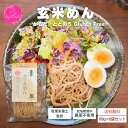 送料無料 | かぐれめん(玄米めん)【600g (100g×6袋)】| 管理栄養士監修 栽培期間中 農薬不使用 自然栽培 健康 無添加 国産 玄米麺 グルテンフ...