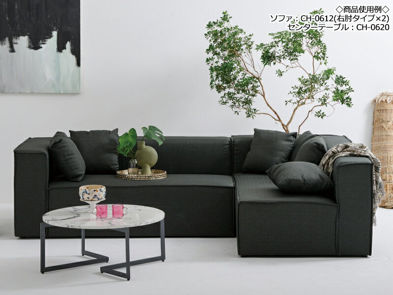 【送料無料】 ソファ ソファー sofa 2人掛け 2P 二人 長椅子 イス いす 片肘付き 右肘 左肘 クッション付 布張り ファブリック 幅163cm CH-0612 [2]