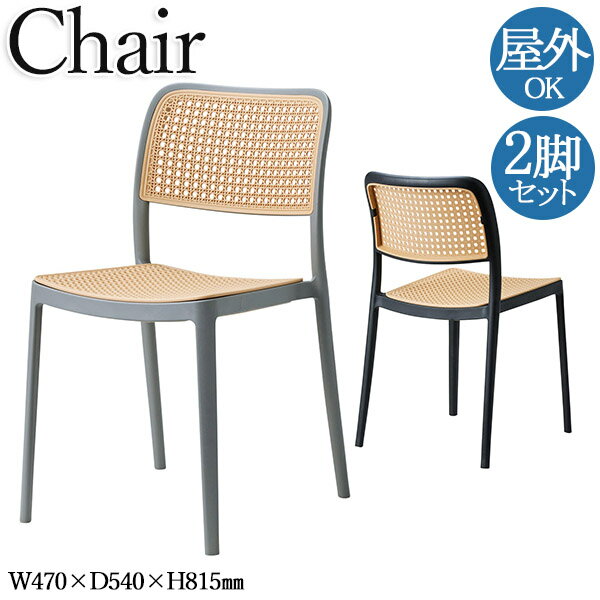【法人送料無料】 【業務用】 2脚セット 屋外用チェア アウトドア ダイニング テラス ガーデン 屋外対応 座高44cm ラタン調 レトロ 韓国風 ナチュラル ...
