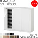 【室内搬入サービス付】 【日本製】 シューズボックス 下駄箱 靴入れ 隙間収納 台輪タイプ 開き戸 両開き ロータイプ 可動棚付 国産 定尺 幅120cm FZ...