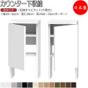 【室内搬入サービス付】 【日本製】 カウンター下収納 すきま収納 引戸シリーズ 幅30-55cm 奥行20cm 配線キャビネット 片開き扉 国産 サイズオーダー...