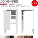 【室内搬入サービス付】 【日本製】 カウンター下収納 すきま収納 引戸シリーズ 幅30-55cm 奥行25cm 配線キャビネット 片開き扉 国産 サイズオーダー...