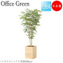 【送料無料】 フェイクグリーン オフィスグリーン 人工植物 人工樹木 光触媒 鉢植え 床置き型 高さ約180cm みどり 緑 リラックス トネリコ GF-000...
