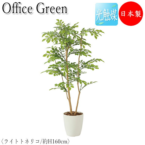 フェイクグリーン オフィスグリーン 人工植物 人工樹木 光触媒 鉢植え 床置き型 高さ約160cm みどり 緑 リラックス トネリコ GF-0008