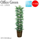 【送料無料】 フェイクグリーン オフィスグリーン 人工植物 人工樹木 光触媒 鉢植え 床置き型 高さ約180cm みどり 緑 リラックス 黒竹 バンブー GF-...