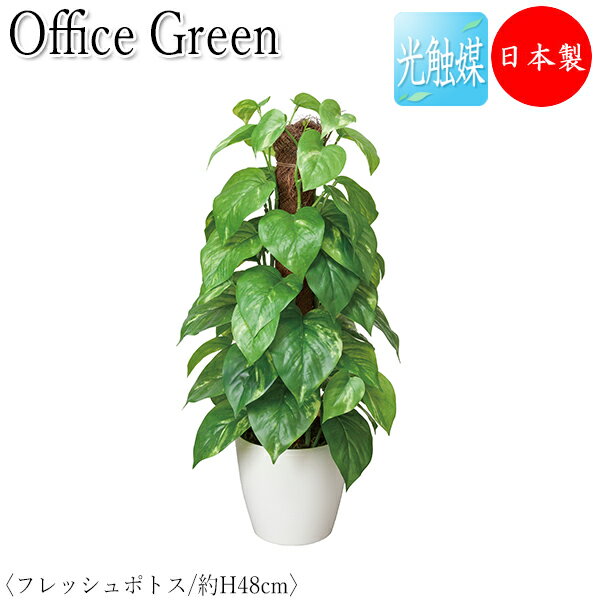 フェイクグリーン オフィスグリーン 人工植物 人工樹木 光触媒 鉢植え 卓上型 高さ約48cm みどり 緑 リラックス ポトス GF-0013