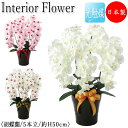 【送料無料】 【日本製/業務用】 フェイクフラワー 胡蝶蘭 インテリアフラワー オフィスグリーン 光触媒 人工観葉植物 造花 鉢植え 卓上型 高さ約75cm 5...