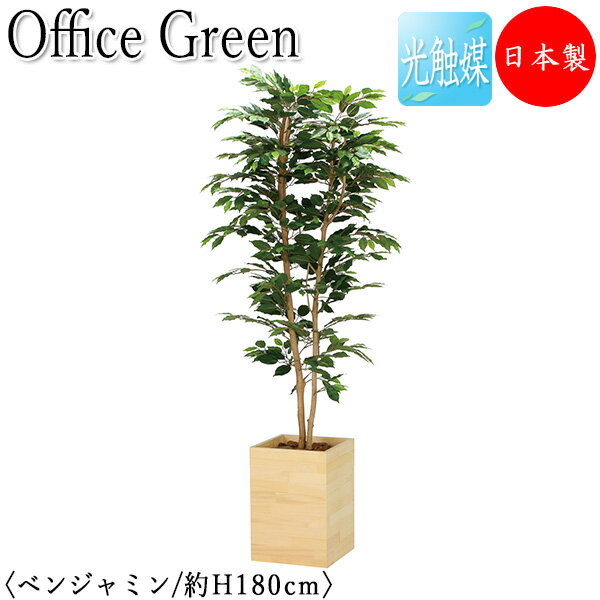 ̵ /̳ѡ ե꡼ ٥󥸥ߥ ե꡼  ͹տʪ ͹ ¤ ȭ ֤ ⤵180cm ŷ...