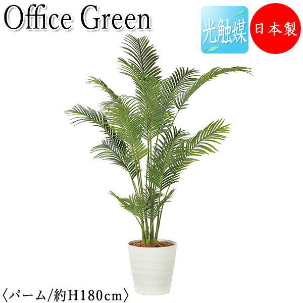 【送料無料】 【日本製/業務用】 フェイクグリーン パーム オフィスグリーン 光触媒 人工観葉植物 人工樹木 造花 鉢植え 床置き型 高さ約180cm 緑 オフ...