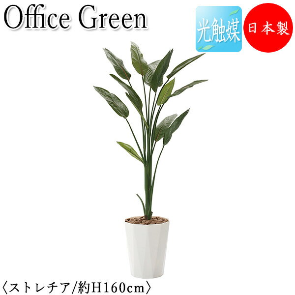 【送料無料】 【日本製/業務用】 フェイクグリーン ストレチア オフィスグリーン 光触媒 人工観葉植物 人工樹木 造花 鉢植え 床置き型 高さ約160cm 緑 ...