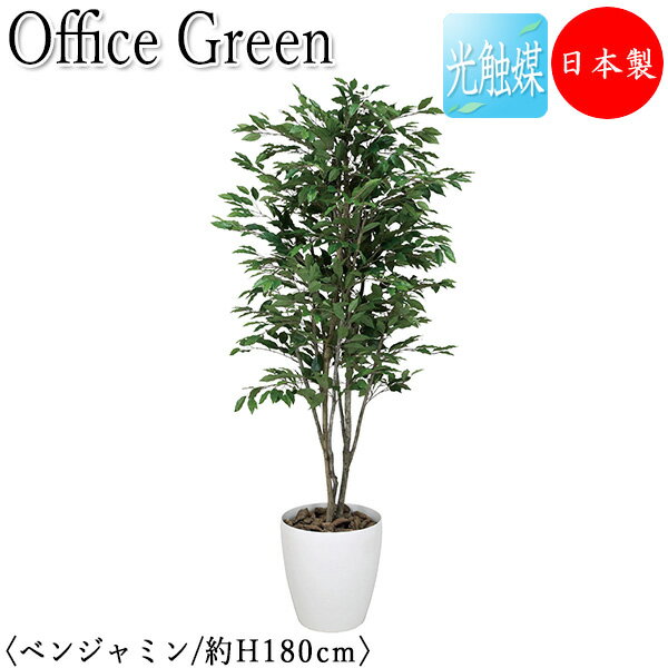 ̵ /̳ѡ ե꡼ ٥󥸥ߥ ե꡼  ͹տʪ ͹ ¤ ȭ ֤ ⤵180cm ŷ...