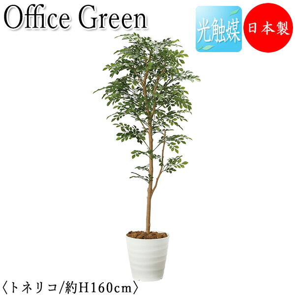 【送料無料】 【日本製/業務用】 フェイクグリーン トネリコ オフィスグリーン 光触媒 人工観葉植物 人工樹木 造花 鉢植え 床置き型 高さ約160cm 天然木...