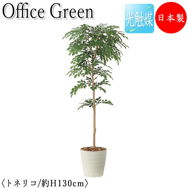 【送料無料】 【日本製/業務用】 フェイクグリーン トネリコ オフィスグリーン 光触媒 人工観葉植物 人工樹木 造花 鉢植え 床置き型 高さ約130cm 天然木...