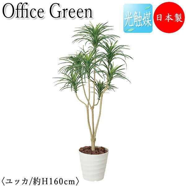 【送料無料】 【日本製/業務用】 フェイクグリーン ユッカ オフィスグリーン 光触媒 人工観葉植物 人工樹木 造花 鉢植え 床置き型 高さ約160cm 緑 オフ...
