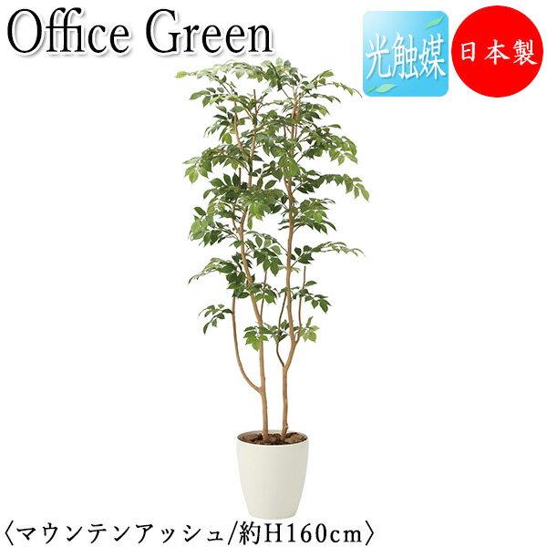 【送料無料】 【日本製/業務用】 フェイクグリーン マウンテンアッシュ オフィスグリーン 光触媒 人工観葉植物 人工樹木 造花 鉢植え 床置き型 高さ約160c...