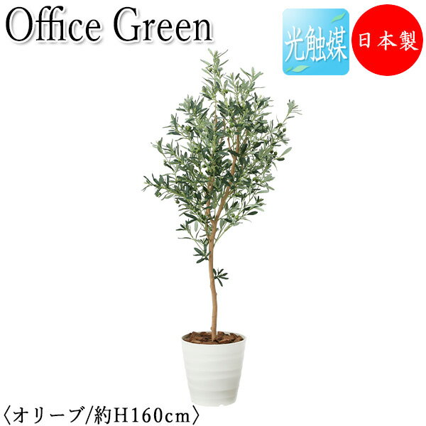 【送料無料】 【日本製/業務用】 フェイクグリーン オリーブ オフィスグリーン 光触媒 人工観葉植物 人工樹木 造花 鉢植え 床置き型 高さ約160cm 天然木...