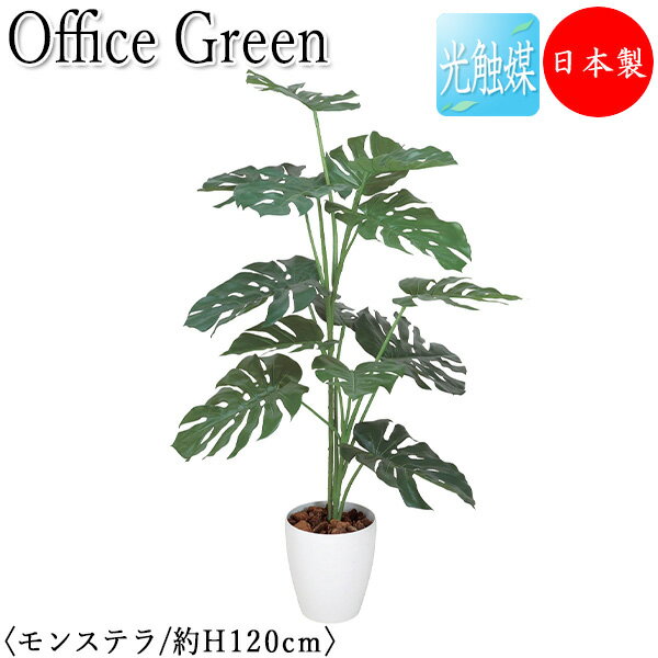 【送料無料】 【日本製/業務用】 フェイクグリーン モンステラ オフィスグリーン 光触媒 人工観葉植物 人工樹木 造花 鉢植え 床置き型 高さ約120cm 緑 ...
