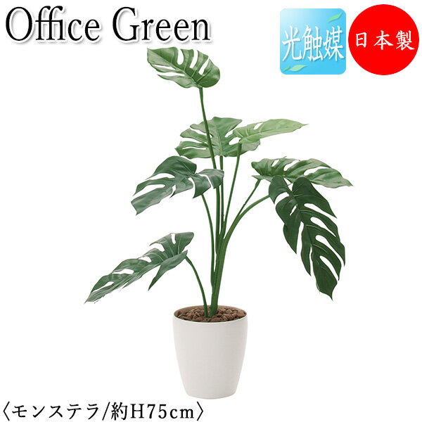 【送料無料】 【日本製/業務用】 フェイクグリーン モンステラ オフィスグリーン 光触媒 人工観葉植物 人工樹木 造花 鉢植え 床置き型 高さ約75cm 緑 オ...