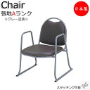 寺椅子 座イス 御参りイス ローチェア スタッキングチェア 肘付 畳ずり付き スチール脚 グレー塗装 張地Aランク MT-0062