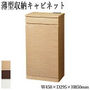 【送料無料】 薄型収納キャビネット 回線収納 FAX台 電話台 ラック 片扉タイプ 幅45cm ホワイト ナチュラル ダークブラウン NK-0074