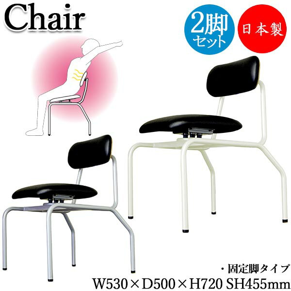 【送料無料】 【日本製/業務用】 2脚セット バランスチェア 姿勢改善チェア 作業椅子 ワーキングチェア 姿勢矯正家具 座高約45cm 固定脚タイプ ブラック RS-0083