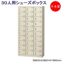 3列10段30人用 シューズボックス 下駄箱 靴箱 シューズラック スチール 南京錠 鍵付 扉付 業務用 学校 オフィス 玄関 収納 SE-0089