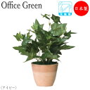 【法人送料無料】 【業務用】 フェイクグリーン 人工植物 グリーンポット ミニ鉢植え 高さ約23cm みどり 緑 リラックス アイビー UT-0422