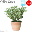 【法人送料無料】 【業務用】 フェイクグリーン 人工植物 グリーンポット ミニ鉢植え 高さ約21cm みどり 緑 リラックス ミニリーフ UT-0425