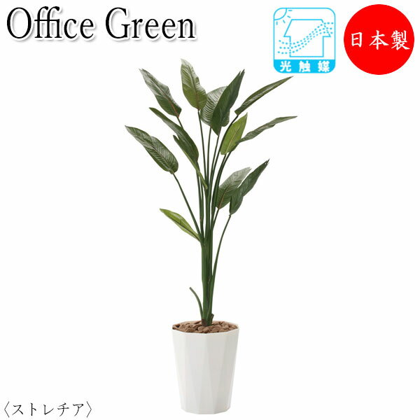 フェイクグリーン 人工植物 人工樹木 鉢植え 床置き型 高さ約160cm みどり 緑 リラックス ストレチア UT-0430