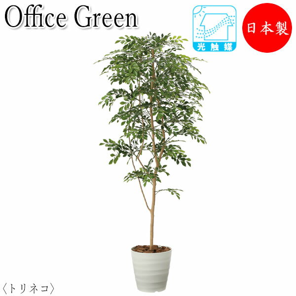 フェイクグリーン 人工植物 人工樹木 鉢植え 床置き型 高さ約180cm みどり 緑 リラックス トリネコ UT-0434