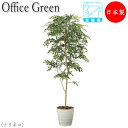 【法人送料無料】 【業務用】 フェイクグリーン 人工植物 人工樹木 鉢植え 床置き型 高さ約180cm みどり 緑 リラックス トリネコ UT-0434