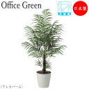 【法人送料無料】 【業務用】 フェイクグリーン 人工植物 人工樹木 鉢植え 床置き型 高さ約150cm みどり 緑 リラックス アレカパーム UT-0436