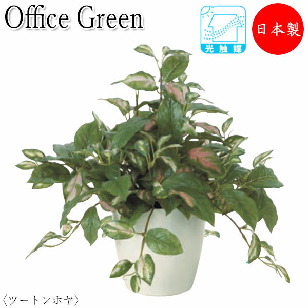 フェイクグリーン 人工植物 グリーンポット ミニ鉢植え 高さ約40cm みどり 緑 リラックス ツートンホヤ UT-0438