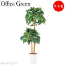 【法人送料無料】 【業務用】 フェイクグリーン 人工植物 人工樹木 鉢植え 床置き型 高さ約125cm みどり 緑 リラックス ベンジャミン UT-0441