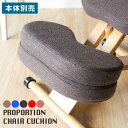 (お買い物マラソン)補助クッション プロポーションチェアのクッション・ストレス(ノー)チェア バランスチェア 補助クッション単品 キッズ 身長の低めの方膝のガード バランスチェア イス チェア 補助クッション付き バランス 学習椅子 木製 学習チェア 椅子