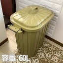 【P2倍 /お盆セール 8/12~ 8/17限定 ごみばこ ゴミ箱 ペールストッカー ゴミ入れ オシャレゴミ箱 おしゃれなゴミ箱 業務用ゴミ箱 ペール おしゃれなゴミ箱 dustbox ダストボックス 屋外 テラス ベランダ 庭 外 60L 60リットル az7-lfs-937sbe