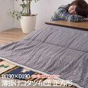 【P2倍/週末セール 7/26~ 7/27限定】 こたつ掛け布団 こたつ布団 こたつ 掛布団 こたつ上掛け kotatsu コタツ布団 こたつ 布団 こたつふとん 火燵布団 「薄掛掛け布団/コタツ本体は別売品」