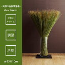 【P2倍/マラソンSALE 7/11 1:59まで】 畳のもと い草 い草雑貨 雑貨 インテリア オブジェ 国産 日本製 置物 植物 お手入れ簡単 夏 抗菌防臭 調湿 消臭 空気清浄 汚れにくい