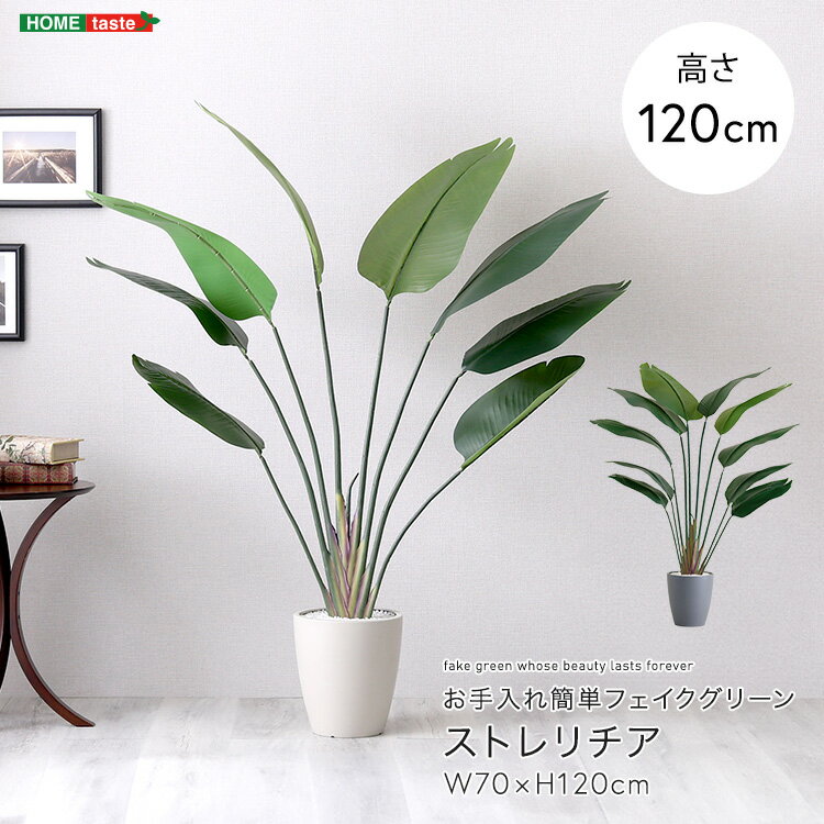 【週末SALE 11/30まで/100円OFFクーポン】フェイクグリーン 人工観葉植物 観葉植物 鉢付 ストレリチア Sサイズ 120cm おしゃれ リアル グリーン お手入れ簡単 北欧
