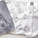 【P2倍/GW特別SALE】 テーブル拭き ふきん グラスタオル 食器用ふきん 台所 ふきん キッチン掃除 台ふきん 水切りタオル 食器ふきん 布巾 「30x3...