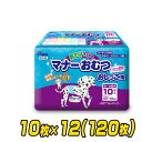 ペット用オムツ 男の子のためのマナーおむつ 中-大型犬用10枚×12 (120枚) PMO-704*12 ペット用紙オムツ ペット用おむつ マナーパッド 犬 おむつ 第一衛材 ピーワン P.one 【送料無料】